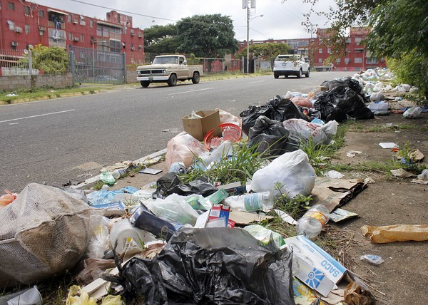 Desechos sólidos se han adueñado de la avenida Cavarres Foto: Ángel García