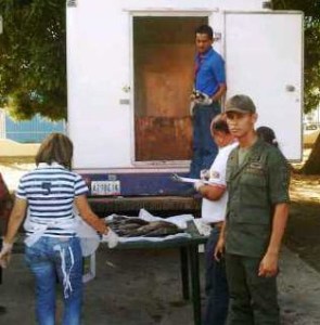 Militares retuvieron 1.550 ejemplares de pavón en Apure