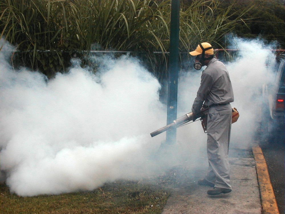 Jornadas de fumigación y abatización han atendido a 680 familias en Yare