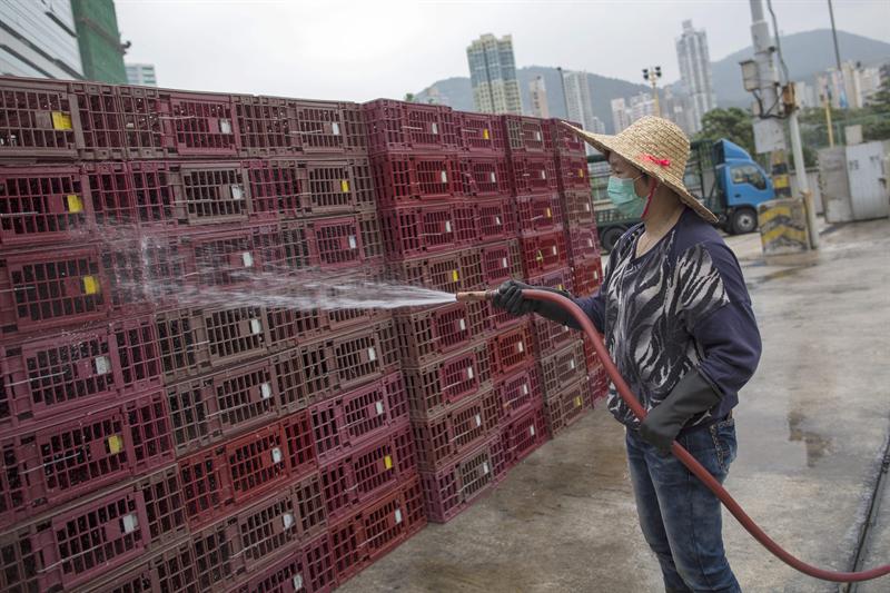 Aumentan a siete los muertos por la gripe aviar en China