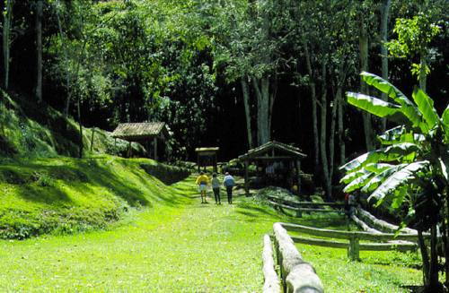 Parques recreacionales estarán cerrados este domingo