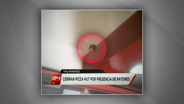 Cierran pizzería por presencia de roedores (Foto + Video)