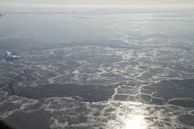 Turistas atrapados en placas de hielo vuelven a tierra firme