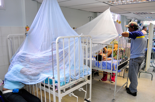 Más de 2 mil casos de dengue han sido reportados en Táchira en lo que va del año