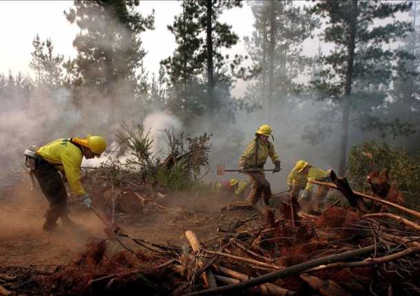Medio centenar de incendios forestales se registran en Chile