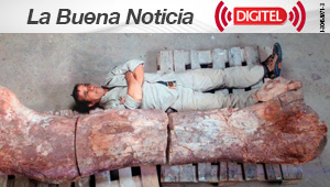 Hallan en Argentina restos del dinosaurio más grande descubierto hasta ahora