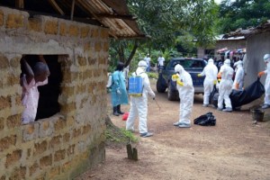Expertos de la OMS preparan su plan para combatir el ébola