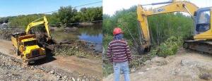 Denuncian deforestación de manglares en el Parque Nacional Laguna de La Restinga