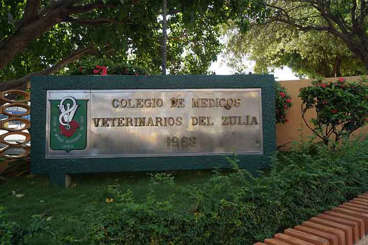 Robaron más de un millón de bolívares al Colegio de Médicos Veterinarios