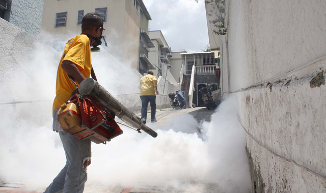 En el Municipio Sucre inician cronograma de fumigación contra el chikungunya