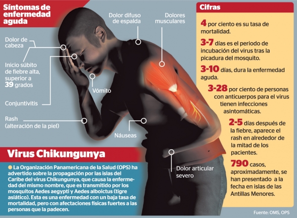 Etapa crónica del chikungunya puede durar hasta 3 años