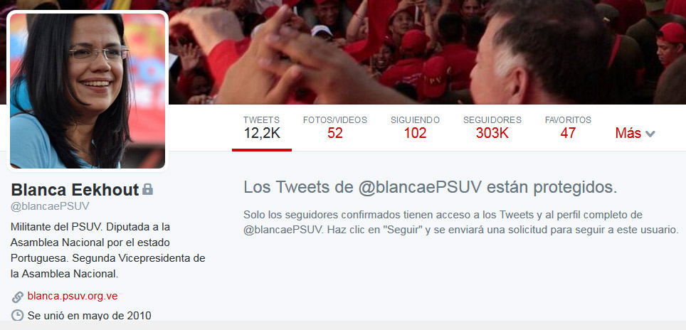 #SoloEnVenezuela diputada pone privada su cuenta de Twitter (Foto)