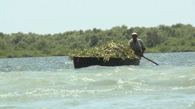 Ricos ecosistemas en riesgo en Paquistán