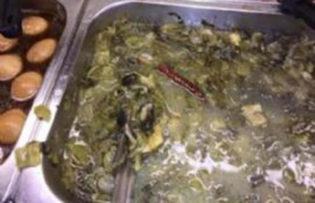 ¡Horror! Almorzaba en un restaurante y encontró una rata en su plato