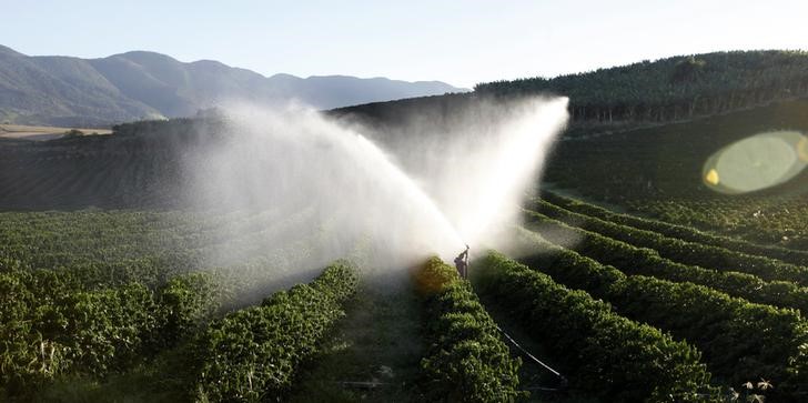 Descartan crisis profunda en producción de alimentos por la sequía en Brasil