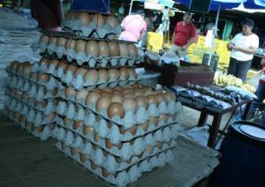 Se estima que el cartón de huevos llegará a costar Bs. 340