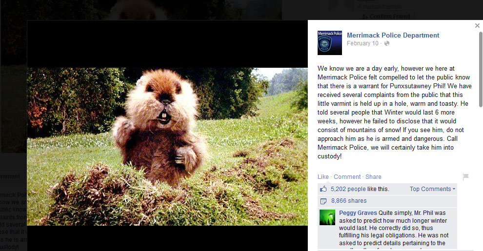 Policía declara enemigo público a la marmota que pronosticó largo invierno (Imagen)