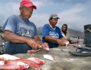 Inician operativo de control para la venta de pescado en Nueva Esparta