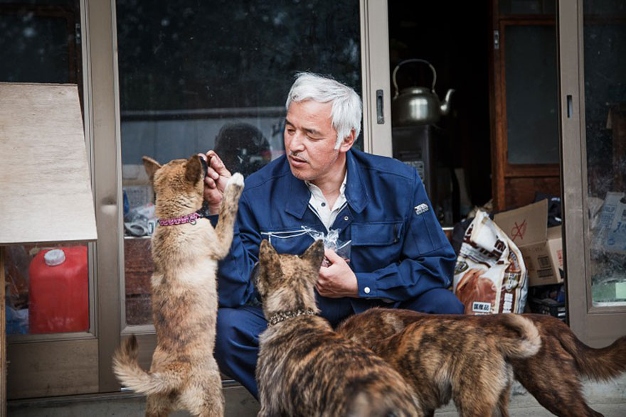 Conmovedor: Hombre regresa a Fukushima para dar de comer a animales abandonados (Fotos)