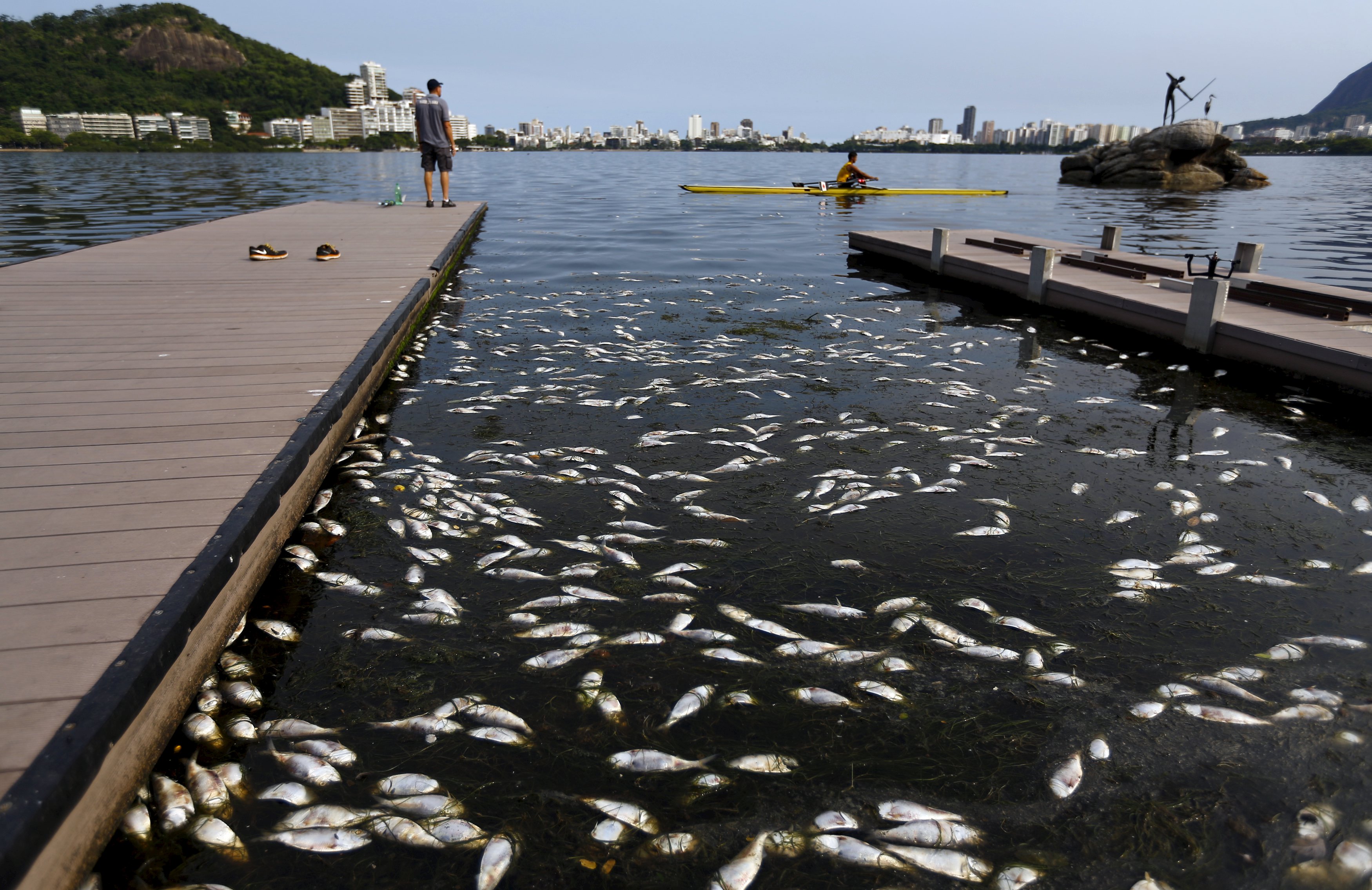 Retiran 37 toneladas de peces muertos en laguna de sede olímpica 2016