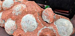 Arqueólogos descubren 43 huevos de dinosaurio fosilizados en China