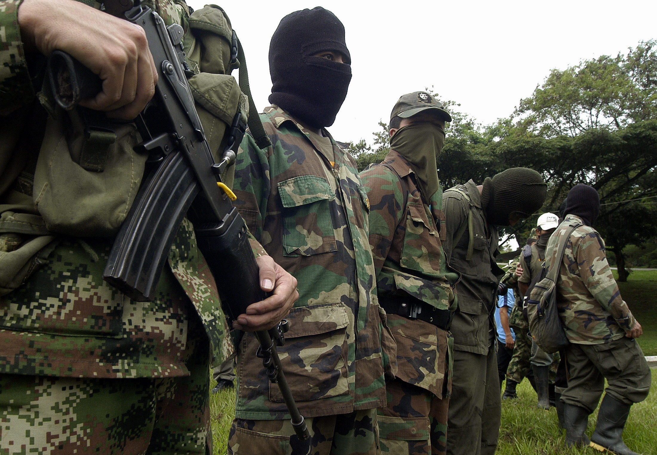 Gobierno colombiano dice que las Farc incentivan los cultivos de coca