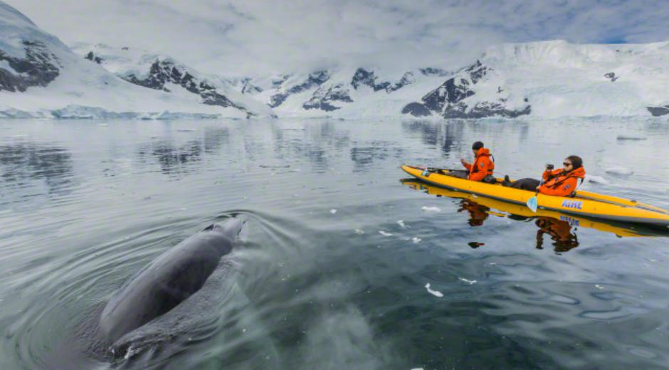 Científicos observan el efecto del hielo en la vida marina de la Antártida