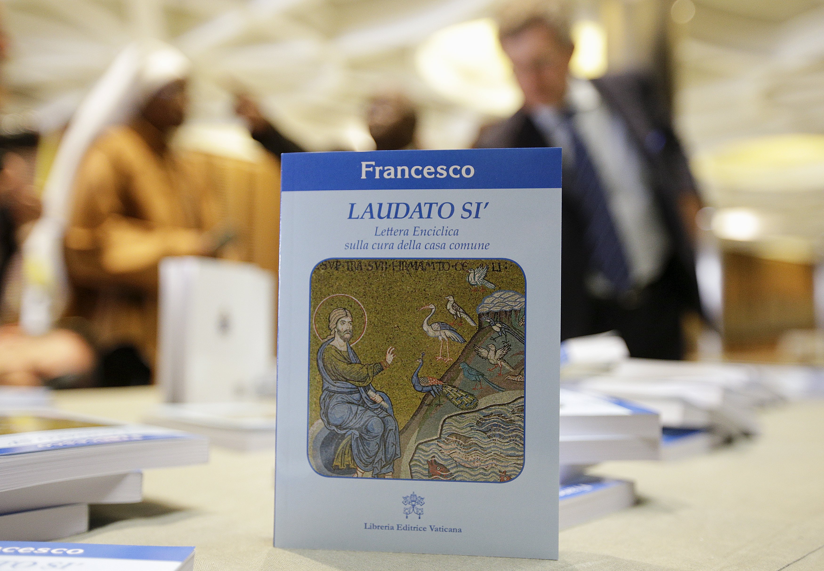 Los 20 puntos más importantes de la encíclica “Laudato si” del papa Francisco