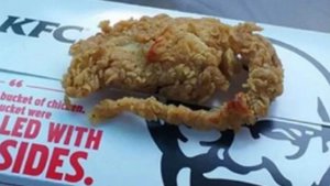 Quería comer pollo frito, pero le mandaron esta asquerosidad (Video)