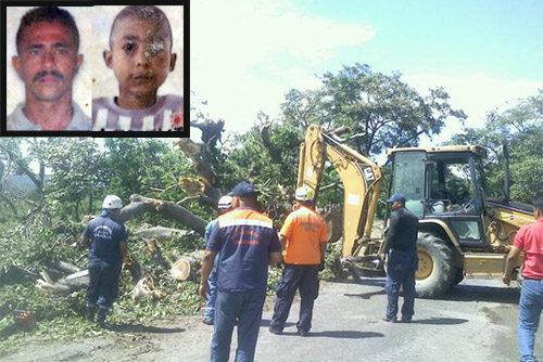 Muere un adulto y un niño aplastados por un árbol en Aragua