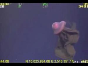 La extraña criatura que grabaron en el fondo del mar (VIDEO)