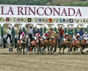 Ganadores de la Gala Hípica 2015 en el Hipódromo La Rinconada