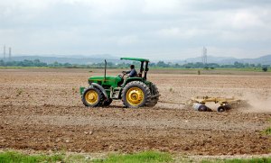 Agricultores en Portuguesa han tenido que resembrar hasta tres veces