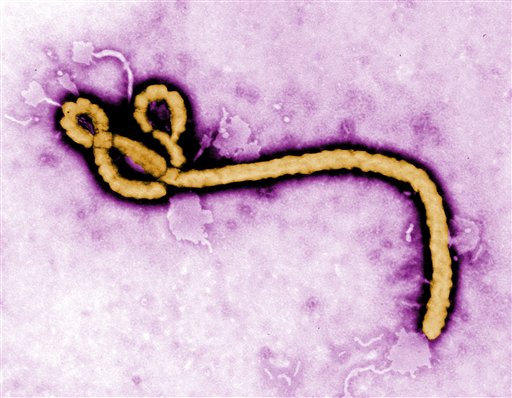 OMS confirma un segundo caso de Ébola en el Congo