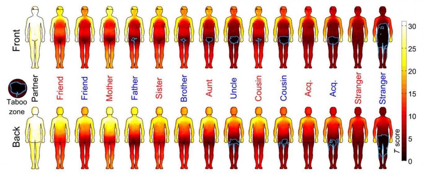 Mapa de calor del cuerpo humano muestra dónde aceptamos que nos toquen