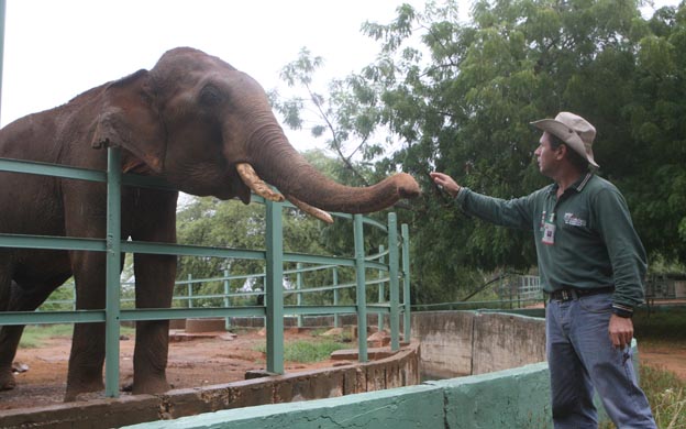 Los animales no se mueren por mala alimentación en el zoológico del Zulia