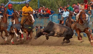 ¡Sin importar el legado! Gobierno realizó toros coleados en Los Próceres