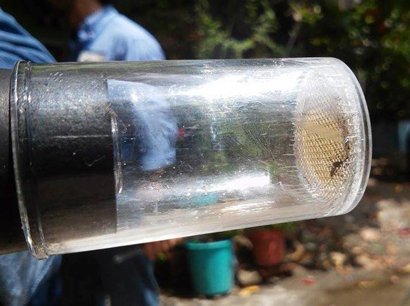 Un adolescente venezolano es el primer caso de zika en Perú