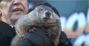 La marmota Phil salió de su madriguera y pronostica una primavera temprana (Video)