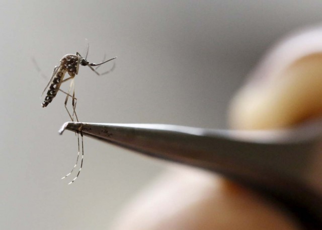 Panamá decreta alerta sanitaria contra el Zika