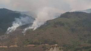 Se reactivó incendio forestal a la altura de Cotiza