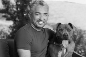 Investigan a César Millán, “el encantador de perros”, por supuesta crueldad animal