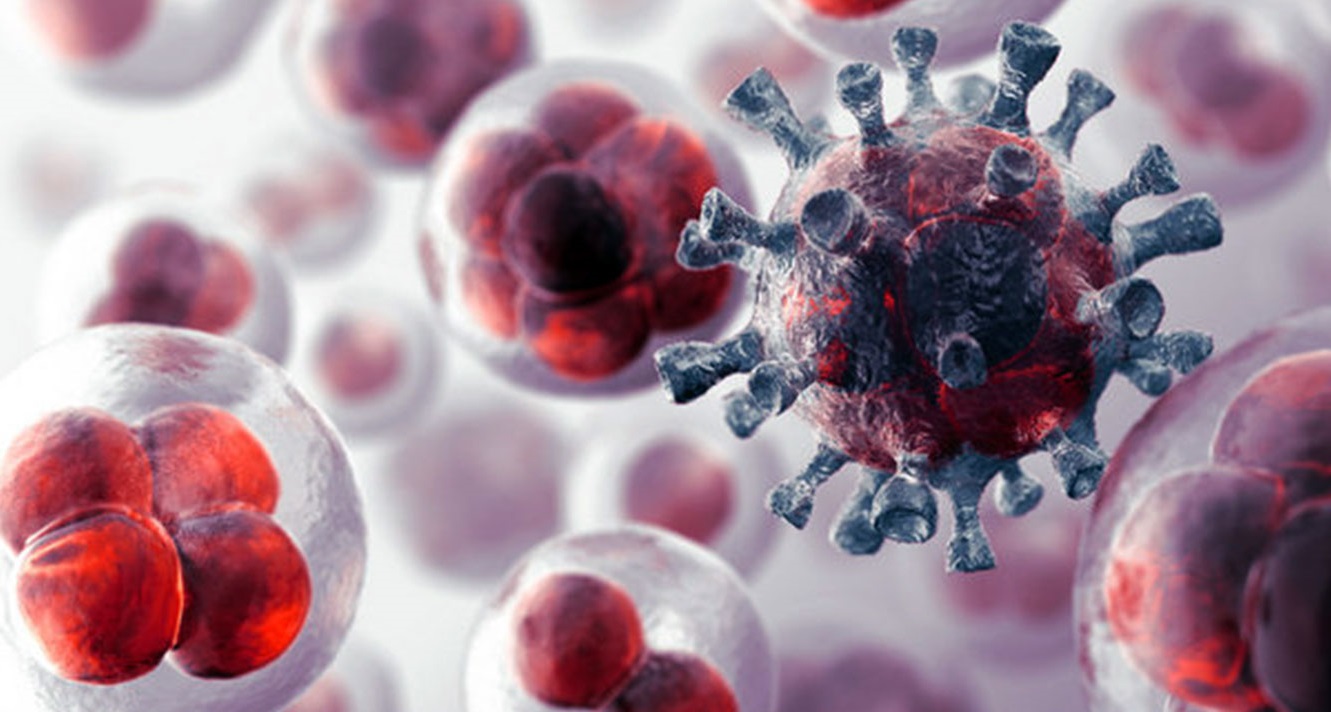 Científicos consiguen que las células cancerígenas se autodestruyan