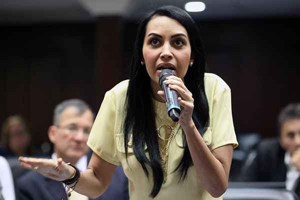 Delsa Solórzano: La violencia se siembra en el gobierno y penetra en la población