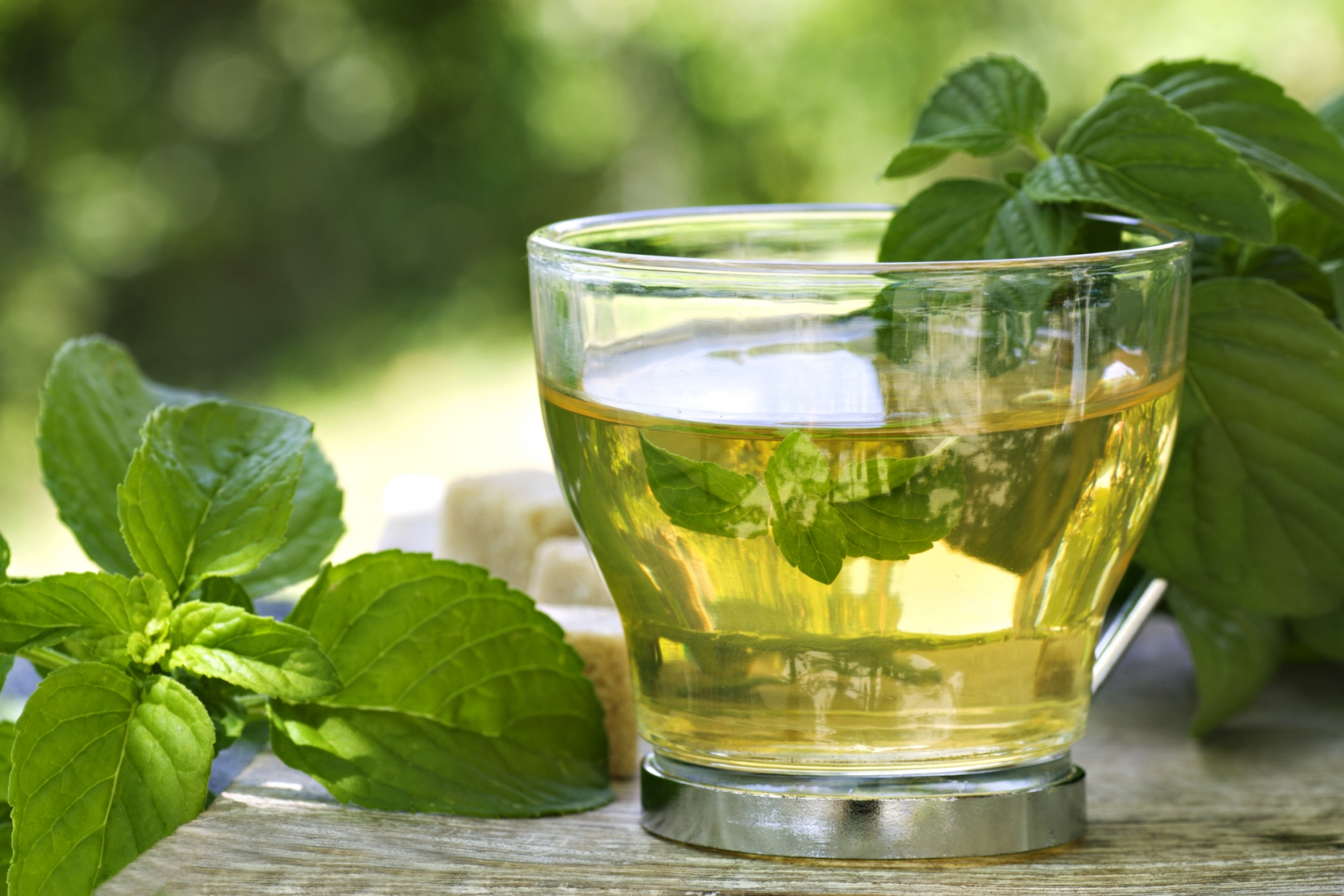 ¿Te gusta el té verde? Conoce sus bondades