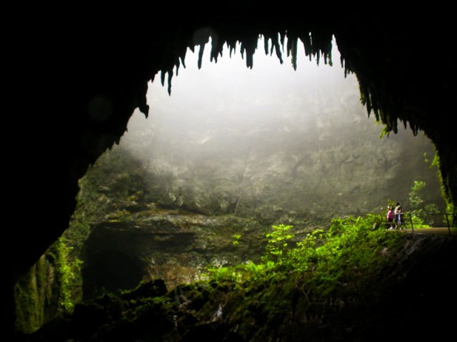 Parque-de-las-Cavernas-del-Rio-Camuy