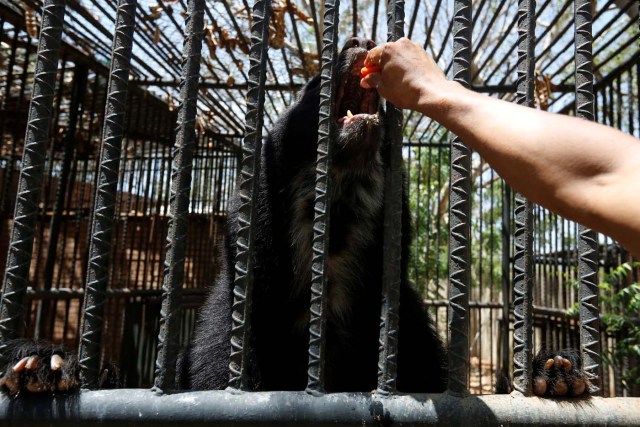 Paraguana zoo in Punto Fijo