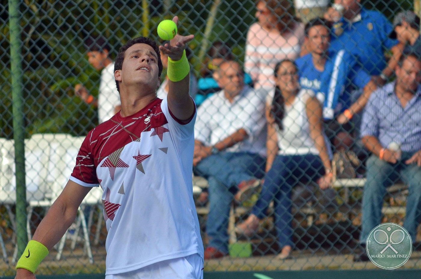 Venezuela cayó con todos los honores en Copa Davis