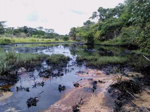 José Brito: AN creará comisión especial para evaluar desastre ecológico por derrame en Anzoátegui