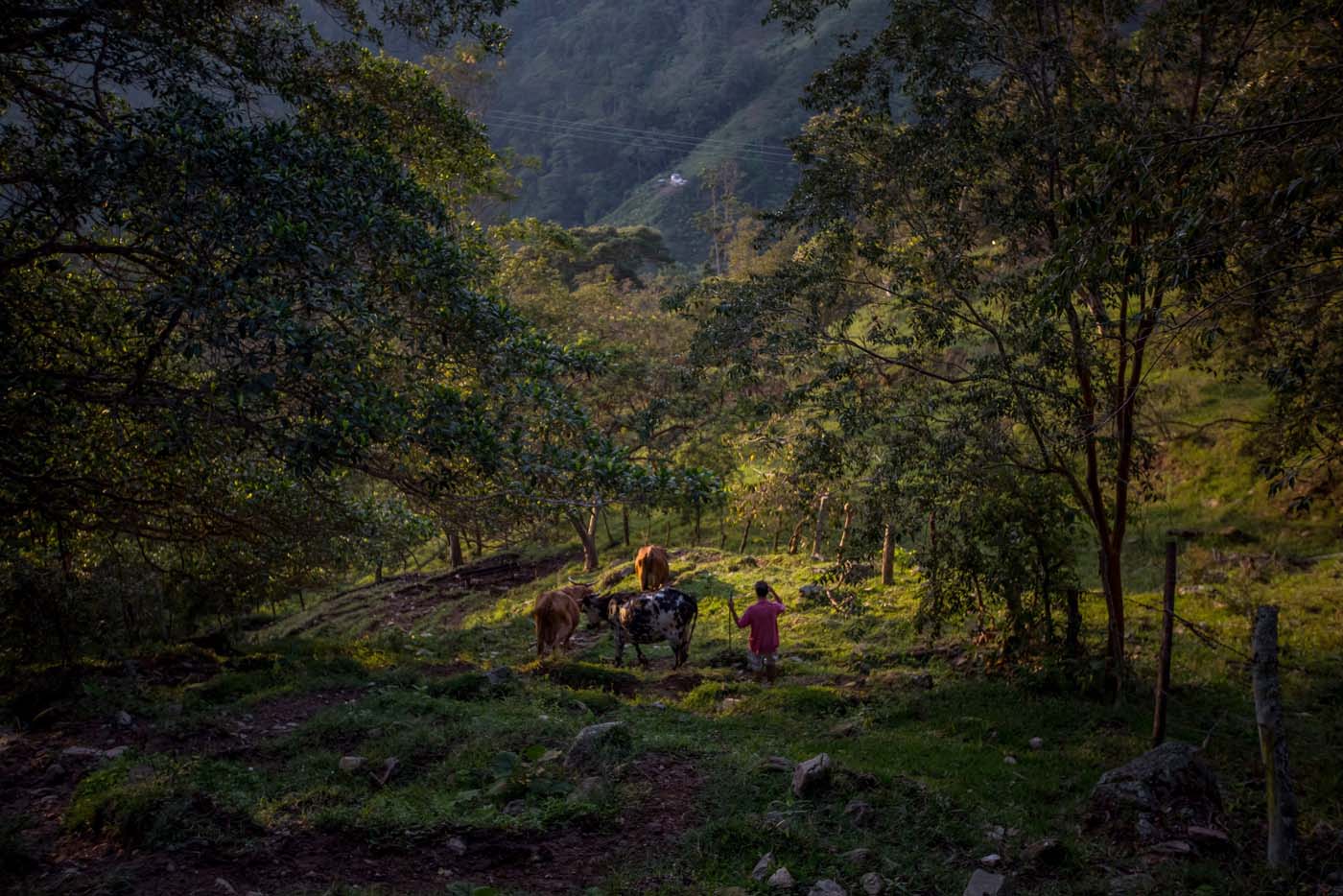 Mérida, una maravilla natural al occidente de Venezuela (Fotos)